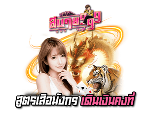 สูตรเสือมังกร sabai999